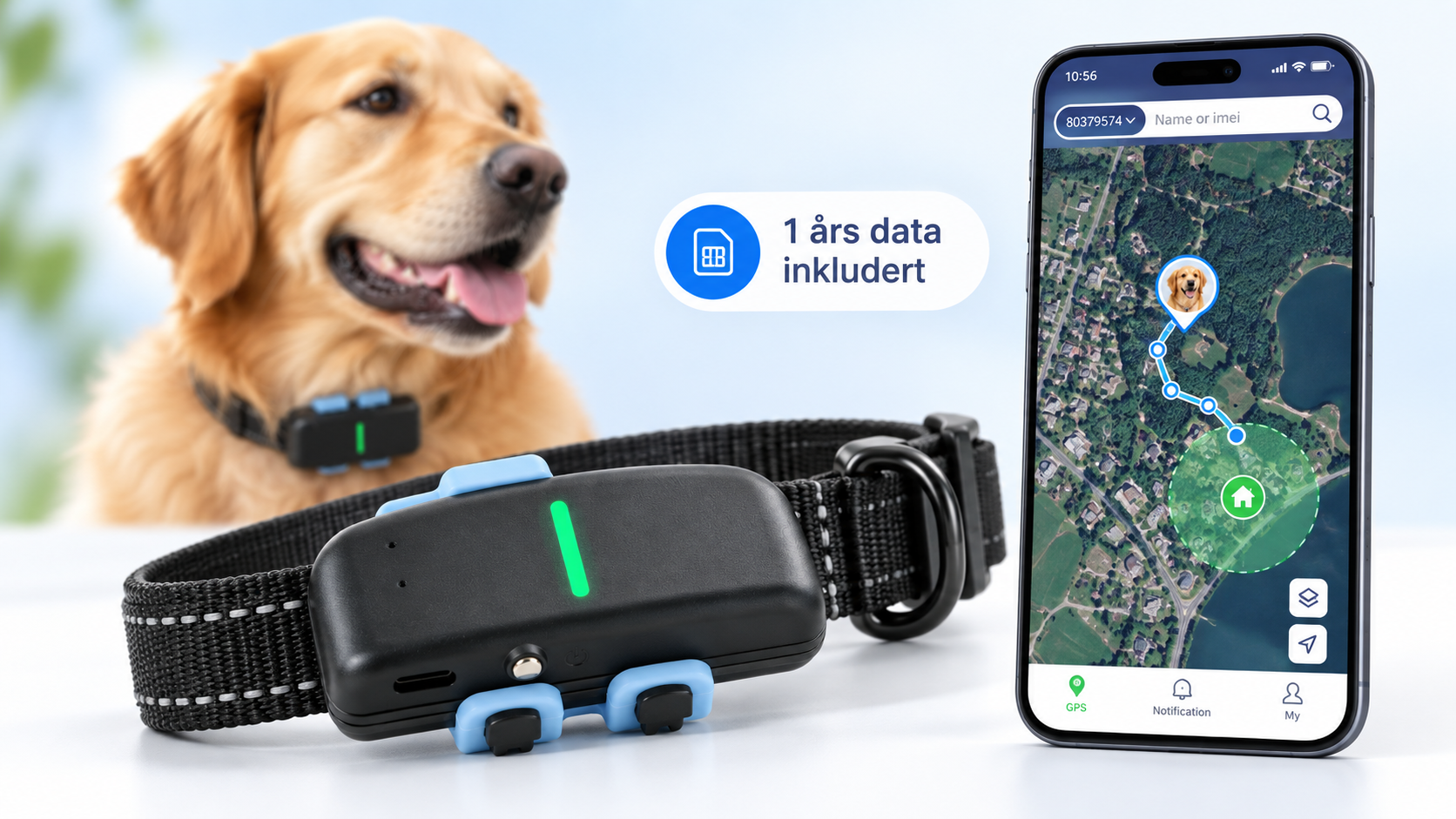 GPS-tracker til hund og katt med 4G: Xexun P02 – 1 års data inkludert